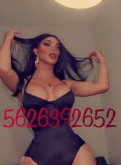 5626392652 | MARIA in Hollywood | Los Angeles City Shemale Escort